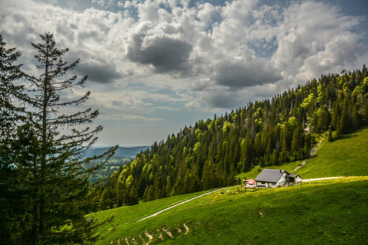 canton of vaud