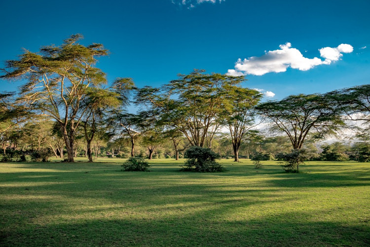 naivasha